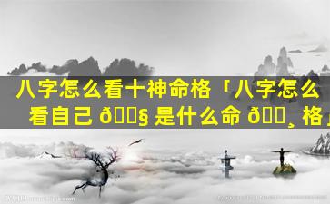 八字怎么看十神命格「八字怎么看自己 🐧 是什么命 🕸 格」